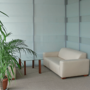 Офисные перегородки ALT110